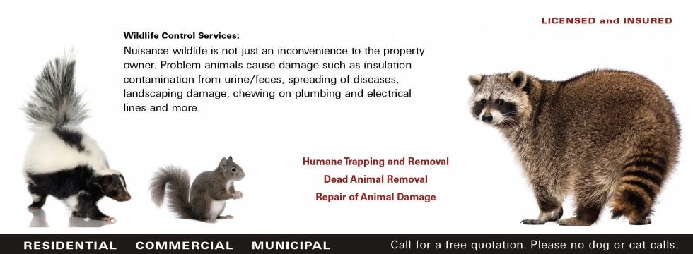 Humane Trapping and Removal Dead Animal Removal Repair of Animal Damage